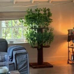 RHR Quality Kratzbaum Design Natural Leaves -Heimtierbedarf Geschäft d32ab4bff9ec3b85ae4c7c42fe25c58d6e1cdac6 1651772 de DE ce58d8382b7df57150df15145bf1bd288f24ba1aaicjgL