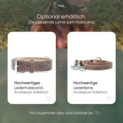 Freudentier Gefüttertes Halsband Aus Leder Dunkelbraun XXL -Heimtierbedarf Geschäft d34ae9cc57d12752544df58e78565ccfebee0573 1421279 de DE f47f09a0bee070f55effd40edc5bcb8c3a89ee8erXutNe