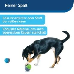 PetSafe Elektronisches Hundespielzeug Ricochet -Heimtierbedarf Geschäft d4449f153a2c132dbacdcffdb9e5bd1534d39124 1418724 de DE f83cfc689e8023f0b85b6eeadf79a2629df4d4f153I9wY
