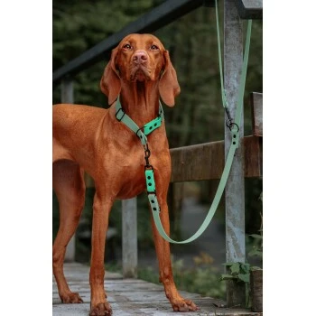 THE DOG IDEA Biothane Hundeleine Sage 2 THE DOG IDEA Biothane Hundeleine Sage – Bild 2