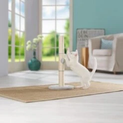 AniOne Kratzsäule Pepe&Kitty 7 AniOne Kratzsäule Pepe&Kitty -Heimtierbedarf Geschäft d5701c6c4622e5291ba55a46423a44f2481c56c2 484c1f099650b6711f02ae3db97410a6f9af5da0