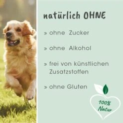 CdVet DarmAktiv Hund & Katze 9 CdVet DarmAktiv Hund & Katze -Heimtierbedarf Geschäft d6eb10167a92769602341f6bb77e538abb3c8979 1669873 de DE 5094779605b36bf328986df22be8858164a90f82LClOHS