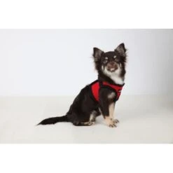 Puppia Geschirr Super Soft B (Step) Rot XS