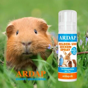 Ardap Milben- Und Zeckenspray Für Nager Und Vögel 100ml 2 Ardap Milben- Und Zeckenspray Für Nager Und Vögel 100ml – Bild 2
