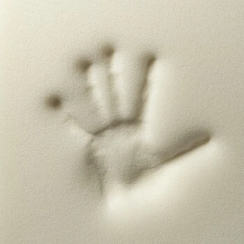 Rexproduct ORI Orthopädische Matratze Dunkelgrün S 2 Rexproduct ORI Orthopädische Matratze Dunkelgrün S – Bild 2