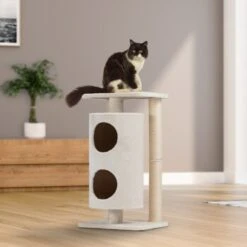 Heimtierbedarf Geschäft -Heimtierbedarf Geschäft da82f6ba340cdfbb19ec659070bf4220fd676154 0450b14101d1a812bf54b58b30df2ce6e76f7851