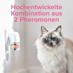 Beaphar CatComfort Excellence Starter-Kit 48ml -Heimtierbedarf Geschäft dc9c523dc7185c6fb064dba2b9c7de82f17a2005 1416646 1 5