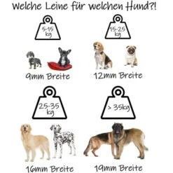 Bio-leine Ab 35 Kg Biothane Schleppleine Türkis 3 M 7 Bio-leine Ab 35 Kg Biothane Schleppleine Türkis 3 M -Heimtierbedarf Geschäft dd5aeefa64c0e68f95b090cf142edb4ba733cd02 1486998 de DE 9e86c715e549a5f350fc133f6a3d246a11c429bevn0Oee