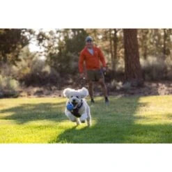 Ruffwear Huckama™ Spielzeug Violett 15 Ruffwear Huckama™ Spielzeug Violett -Heimtierbedarf Geschäft de98c2ecd6bc81dff2b7d8cf1a58077d493a7574 1639706 de DE 45a4de67f9d48aebc4c0b236a73c853c0d2955efn7XFon