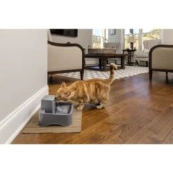 PetSafe Trinkbrunnen 1,8 L 13 PetSafe Trinkbrunnen 1,8 L -Heimtierbedarf Geschäft df488cf045110a6e0d24fcded3d81de07583d88a 1323706 7