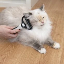 KaraLuna Unterfellbürste 11 KaraLuna Unterfellbürste -Heimtierbedarf Geschäft e0e7f4b3ef49c70421b21094c2615519c93a1a3e 1407475 de DE 78030a6cd3af146aa7eb3f83fa2322b52c78816a2jpF0U