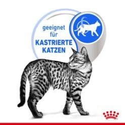 ROYAL CANIN Indoor Sterilised 12x85g In Gelee 8 ROYAL CANIN Indoor Sterilised 12x85g In Gelee -Heimtierbedarf Geschäft e0f30f9a28c4a2b10156c12b92347b4c5a9b1e23 8c952aa18fe09440ca4c62569fbc775fe9fd6239