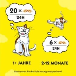 Dreamies Snack-Vielfalt 12x60g -Heimtierbedarf Geschäft e1b190f4f53100ff83c0fb6481ba747fb1f78bad 1297459 2