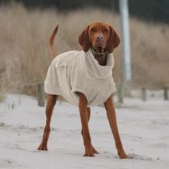 THE DOG IDEA Bademantel Every Beige XXXS 9 THE DOG IDEA Bademantel Every Beige XXXS -Heimtierbedarf Geschäft e3729773c9f5b61c18a464eeb5076e81a866013e 1472946 de DE ac504db57b88122680c4cb56470ea23721b69c99VnzO7V