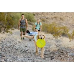 Ruffwear Camp Flyer™ Spielzeug Gelb 10 Ruffwear Camp Flyer™ Spielzeug Gelb -Heimtierbedarf Geschäft e4a37a6a829a29e9ccf8cc78751e0fdb21b1f16a 1444349 de DE aecf8c0098a10a43cb5986118c66a87955de58baPHiPKl