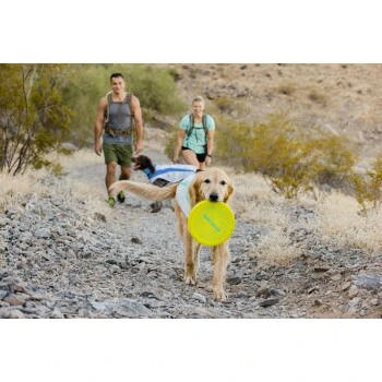 Ruffwear Camp Flyer™ Spielzeug Gelb 4 Ruffwear Camp Flyer™ Spielzeug Gelb – Bild 4