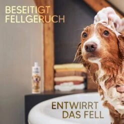 Pawlie's Hundeshampoo Für Langhaar 11 Pawlie's Hundeshampoo Für Langhaar -Heimtierbedarf Geschäft e65234d72e0adb949f3fa491484e6ad7c7481584 1626203 de DE ce4f7e431ef810d9abd2a895abbb82da132a6dd7K3n77W