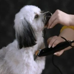 Moser Schermaschine REX 10 Moser Schermaschine REX -Heimtierbedarf Geschäft e8038dbcc4727a75747f8832087092baa0fa43aa 187f5afc428e49269186b36ca7790ac3a42cb0ac