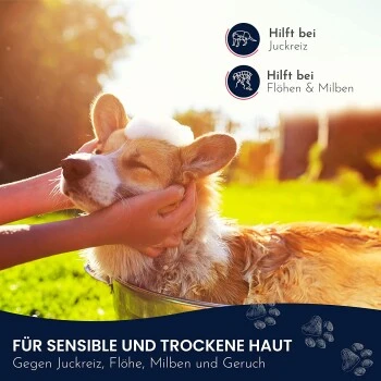 Pawlie's Sensitiv Hundeshampoo Für Hunde 4 Pawlie's Sensitiv Hundeshampoo Für Hunde – Bild 4