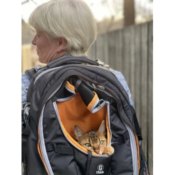 Kurgo Hunderucksack G-Train Schwarz 2 Kurgo Hunderucksack G-Train Schwarz – Bild 2