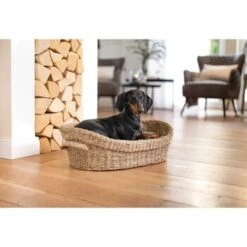 AniOne Korbbett S -Heimtierbedarf Geschäft e9e0964bcc9ef0d3257a192476856c4314687278 1372191 de DE AniOne Bett 1