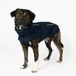 THE DOG IDEA Regenmantel Duke Navy XXXS 12 THE DOG IDEA Regenmantel Duke Navy XXXS -Heimtierbedarf Geschäft ea00da11be84052a9bd95ce1f2727678ed1be4f4 1473009 de DE ac44302b2919bae198c186891f7199cadbe8fe207lh60I