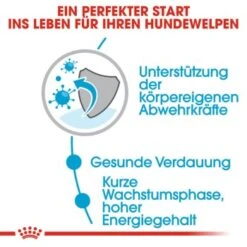 ROYAL CANIN Medium Puppy 10x140g 16 ROYAL CANIN Medium Puppy 10x140g -Heimtierbedarf Geschäft ea01834e95d5331859ec66f06e01952c0612edab 86009acb36c61560ce965056594dc109940f0dfe