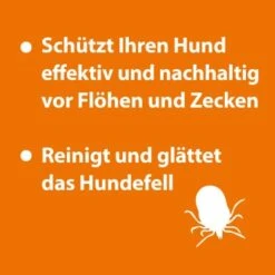 Ardap Anti Zecken Shampoo Für Hunde 250ml 9 Ardap Anti Zecken Shampoo Für Hunde 250ml -Heimtierbedarf Geschäft eb2dfbdf7225d09a19c8f88f4646a04f7e5b6075 1289723 de DE 147e22e7e5366ff5c32b239862781e55c73f3298axcqkW