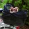 Trixie Fahrradtasche
