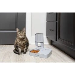 PetSafe Futterautomat Für 2 Mahlzeiten 29 PetSafe Futterautomat Für 2 Mahlzeiten -Heimtierbedarf Geschäft ecfa45428902a757dc7016a44357eeb1f8b25a89 1343837 6