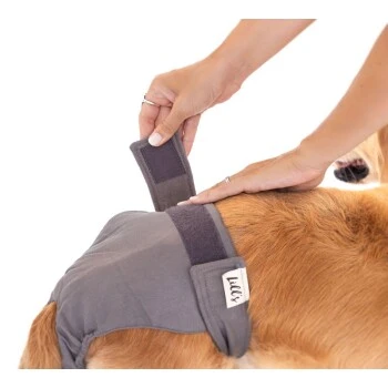 Lills Läufigkeitshöschen "Lou" Pink Berry Grau XXL 2 Lills Läufigkeitshöschen "Lou" Pink Berry Grau XXL – Bild 2