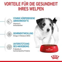 ROYAL CANIN Mini Puppy 8 Kg 10 ROYAL CANIN Mini Puppy 8 Kg -Heimtierbedarf Geschäft f04b24946028acb42b734103d58bb0208e88dc07 3182550793049 5