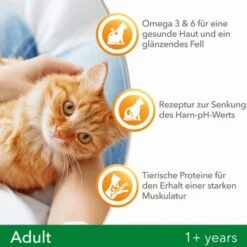 IAMS Vitality Adult Huhn 3 Kg 9 IAMS Vitality Adult Huhn 3 Kg -Heimtierbedarf Geschäft f239d7ef57a6054553948e62d3d5feb16002578a 8361bd6d370c2f798bd71fa3242ca269884546de