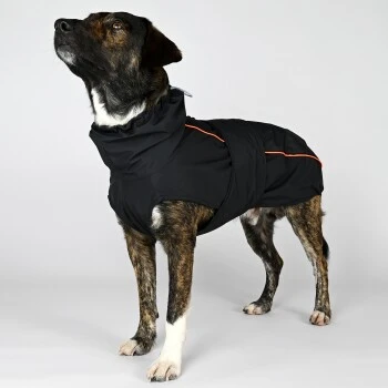 THE DOG IDEA Regenmantel Duke Schwarz XXXS 6 THE DOG IDEA Regenmantel Duke Schwarz XXXS – Bild 6