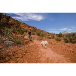 Ruffwear Swamp Cooler Zip™ Kühlweste Für Hunde Pink XL 21 Ruffwear Swamp Cooler Zip™ Kühlweste Für Hunde Pink XL -Heimtierbedarf Geschäft f39337d577f60e5d30ba5addfb811febecbc66e7 1639652 de DE 1ff9fca93caed68be3a65cc55ad0d154f81bf268suJpN2