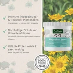 Aniforte Pfotenschutz Balsam 120ml Sommer & Winter -Heimtierbedarf Geschäft f6352728d2d295839a5f9bac2123e02ea5cfd66d 1480491 de DE b4b6382b0452d366b3ffc33798d9e5be379c6ee9yrOk4E