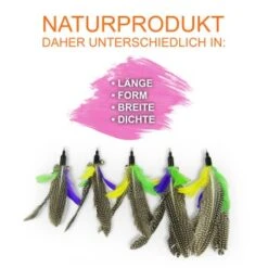 Schlitzohr Katzenangel Federanhänger 5x -Heimtierbedarf Geschäft f6a96b93601c3b2f6f7420ade3ecfe56542cca74 1484675 de DE b1d2fd29ad67016b9a6af908251d348edfa467f2BG8aWR