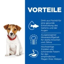 Hill's Science Plan Small & Miniature Puppy Mit Huhn 3 Kg 11 Hill's Science Plan Small & Miniature Puppy Mit Huhn 3 Kg -Heimtierbedarf Geschäft f99e800bdba85688d025c611ec54227734f1645a 52742281704 4