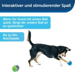 PetSafe Elektronisches Hundespielzeug Ricochet -Heimtierbedarf Geschäft fde7c0cc07cd70611ca47b65ddae3e632f160d94 1418724 de DE 4f6e4953c50827cae26a42d6d5890e56447a49a4XQHEwC