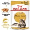 ROYAL CANIN Maine Coon 12x85g