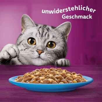 Whiskas Jumbo Pack 1+ Fisch Auswahl In Gelee 80 X 85g 7 Whiskas Jumbo Pack 1+ Fisch Auswahl In Gelee 80 X 85g – Bild 7