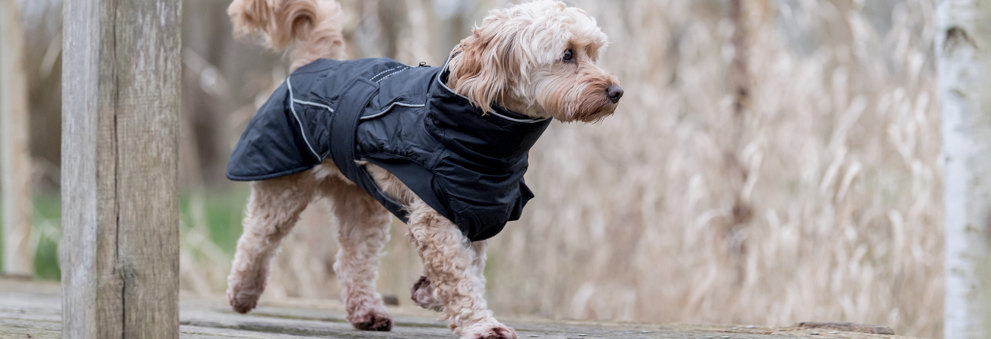 Heimtierbedarf Geschäft -Heimtierbedarf Geschäft 1